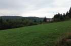 TEREN PREMIUM 5.023 MP ÎN VORONEȚ | BUCOVINA | ZONA MĂNĂSTIR - 17