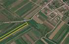 Teren extravilan 4.500- max.18.300mp in comuna Rosia (17 km de Sibiu) - 1