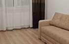 Apartament cu 1 camera - zona Canta - Dacia Conest Evolution - Pet Friendly - 4