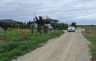 Teren Intravilan 31.900 mp, Corbeanca – Deschidere 70 ml, Zonă Rezidențială, Ide - 1