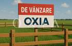 AX1047 Zona Sagului-OMV, Teren Intravilan, Zona Industriala - 3