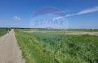 Vanzare teren intravilan parcelat, in Branesti langa - Autostrada A2 - 23