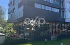 Spatiu Comercial 102 The Address - 4