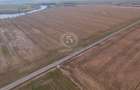 Oportunitate– Proiect Rezidențial 32 Loturi, PUZ Aprobat, zona Frumusani - 8