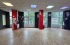 Spatiu comercial - Arena Nationala - Diham - 3