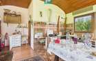 Casă Câmpani, 8000 mp teren, la poalele Apusenilor - 41