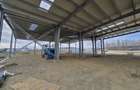 Hale Industriale NOI DN2 Afumati|15 Unități | Acces TIR + Vizibilitate - 6