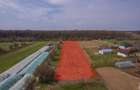 NUCI - BALTA NEAGRA, LOT 3900 MP, LA PADURE! - 10