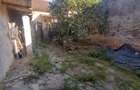 Oravita 4 Apartamente la Casa, Zona Primarie Liceu - 15
