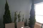 Vanzare apartament cu 3 camere Upground Aviatiei - 8