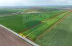 Teren extravilan Săcele ideal pentru silozuri, fermă sau investiție - 1