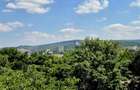 Apartament 3 Camere Luminos si cu Vedere Frumoasa - 5