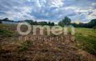 Teren intravilan 25 ari, parcelabil – Baia Sprie, zonă frumoasă și liniștită - 3