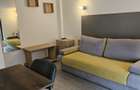 Apartament 1 camera de inchiriat in vila, zona Centru-Primarie - 5