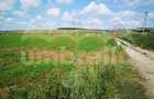 Teren de vanzare in Iclod  8.659m²/10€ m²  DN1