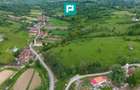 Proprietate de poveste pe Valea Mureșului, Lupești - 7