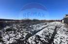 Teren intravilan 500mp, langa lac, acces drum principal - Corbeanca - 3