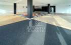 Spatiu Comercia/ Showroom 200mp util+curte720mp/GRADISTE - 1