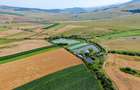 Proprietate spectaculoasă de 31.500 mp, cu iazuri și case locuibile - 2