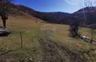 De vânzare teren intravilan 10,100 mp, cu anexă, Munteni - 7