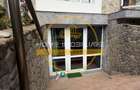 Spatiu comercial Copou 300 euro - 4