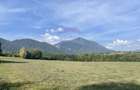 Teren intravilan 850mp Zarnești-Bran, natura-relaxare - 5