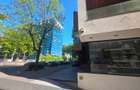 FLOREASCA | Spatiu comercial premium | Vitrina stradala Terasa 100 m - 11