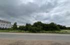 Terenul dintre 2 lacuri – 1000 mp în Mogoșoaia, la 5 minute de pădure - 15