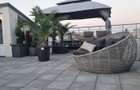 HERASTRAU PENTHOUSE NORDULUI  APARTAMENT 3 CAMERE LUX LINGA PARC - 2