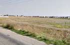 Teren Varianta Constanta - Ovidiu, 1,7 Ha - 2