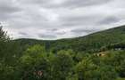 Teren de vanzare, 64 ari, zona Ulmoasa - 1