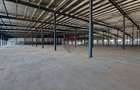 COMPLEX INDUSTRIAL & COMERCIAL PREMIUM | ILFOV