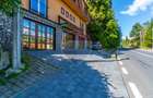 Vilă 10 cam în Sinaia zona Peleș | Randament estimat 2 cifre