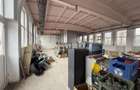 Hale industriale de inchiriat cu platforma betonata de 10.424mp - Șerbanest - 7