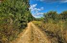 Șinca Nouă – 8.439 mp pentru agricultură, apicultură și investiție in viitor - 9