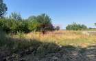 Teren Clinceni- Ordoreanu- langa Dig. - 1