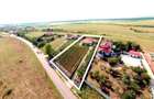 Vila Băile Felix 414mp/3556mp 7dorm 5bai 3 bucătării  vie+cramă livadă filigorie