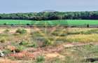 Teren 9Ha -> 16Ha Ha Intravilan , Exit A3 Snagov Ghermanesti Bucuresti-Ploiesti - 5
