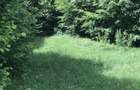 Vand teren in Albestii de Muscel faneata-pasune, partial impadurit - 1