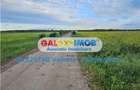 Teren intravilan ideal investitie parcelabil Fundulea COD 251 - 5