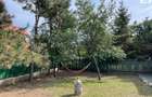 Vila 9 camere Costinesti
