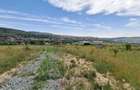 Teren intravilan 5.800 mp, Baciu Vatra Satului Vechi, Panorama superba - 5
