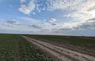 Loturi intravilane 300–500 mp, la 10 km de Centura Sud | Rate fără avans - 1