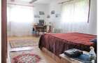 Casa deosebita cu gradina generoasa Vladeni - 11