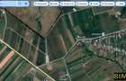 Teren pentru investitie imobiliara - 1