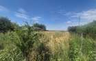 Teren Vânători, deschidere 17.65 m – Zonă rezidențială în dezvoltare - 5