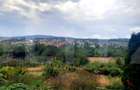 Reducere de pret!Teren intravilan, suprafata de 2506 mp, incadrare UM4, Borhanci - 3