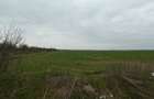 Teren 10.000 mp Butimanu in spatele caselor - 4