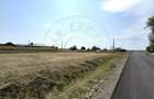Teren intravilan 1450 mp 397 DN1F - Loc. Ghenci - Jud. Satu Mare - 6