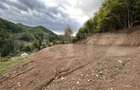 Teren intravilan 1,1 Ha, zona Bargau - 6